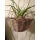 ACT Blumenampel grau Bild 1