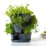 Kruterampel Blumentopf Blumenampel mit drei Ebenen Bild 1