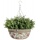 Esschert Design Keramik Blumenampel Bild 1