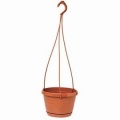 Blumenampel 20cm ter. LAVAREDO Bild 1