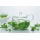 Hario CHJMN-45T ChaCha Maru Teekanne 450 ml Bild 5