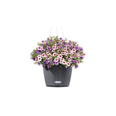 Lechuza Nido cottage granit, 1 Stck Bild 1