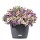 Lechuza Nido cottage granit, 1 Stck Bild 1
