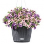 Lechuza Nido cottage granit, 1 Stck Bild 1