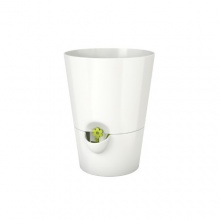Emsa 514244 Fresh Herbs Kräutertopf 13 cm, weiß Bild 1