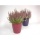 groer 4,5 Liter Blumentopf wei Edel h-184 mm Bild 3