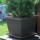 1 Blumenkbel Blumentopf + Untersetzer anthrazit Bild 4