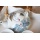 Ufingo Kleine nette Jingdezhen Handgemaltes Japanese Teeservice Bild 4