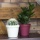 Blumentopf 0,6 Liter Hhe: 10 cm bertopf Kunststoff Bild 4
