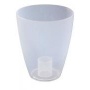 Blumentopf bertopf Orchidee transparent 133 Bild 1