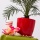 3,5 Liter Blumentopf bertopf Coubi Serie rot  190 mm Bild 2