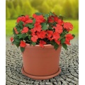 Blumentopf 40cm inkl. Untersetzer terracotta Bild 1