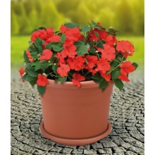 Blumentopf 40cm inkl. Untersetzer terracotta Bild 1