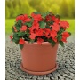 Blumentopf 40cm inkl. Untersetzer terracotta Bild 1