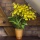 Orchideen Blumentopf bertopf orange soft h-165 Bild 3