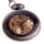 ShoppeWatch mechanische Skelett-Taschenuhr Handaufzug PW12 Bild 1