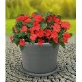 Blumentopf 40cm inkl. Untersetzer anthrazit Bild 1
