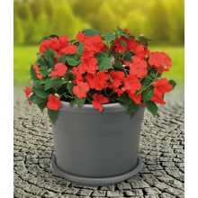 Blumentopf 40cm inkl. Untersetzer anthrazit Bild 1