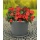 Blumentopf 40cm inkl. Untersetzer anthrazit Bild 1