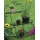 Blumentreppe Antik-Look 3 Etagen 123648 Bild 1
