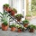 Ptschke Ambiente Blumentreppe Castellana Bild 1