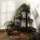 Blumentreppe rund 3 Stufen Landhaus Bild 1