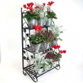 Plant Theatre Kruter- und Blumentreppe Bild 1
