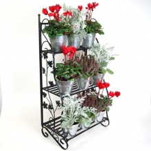 Plant Theatre Kruter- und Blumentreppe Bild 1