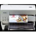 Epson TM-C100U INK SLIP USB C31C537022LG Bild 1