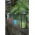 Esschert Design Laterne, 25 cm Bild 2