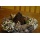 Esschert Design Laterne, ca. 9,9 cm x 9,9 cm x 13 cm Bild 3