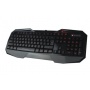Natec Genesis Gaming Tastatur RX33 Bild 1