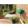 Hozelock 2485 0000 Mini Auto Reel Bild 2