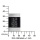 s.Oliver Damen SO-1125-LD Bild 4