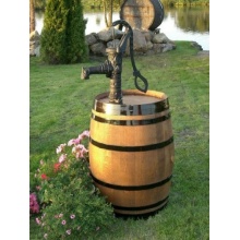 225L Fass-Regentonne mit Schwengelpumpe Bild 1