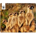Speedlink Terra WWF Mauspad Erdmnnchen Bild 1