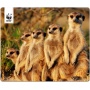 Speedlink Terra WWF Mauspad Erdmnnchen Bild 1