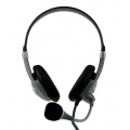 Wintech WH-41 Multimedia Headset silber/schwarz Bild 1
