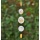 Capiz-Windspiel Vogel Perlmutt Feng-Shui 180cm orange Bild 1