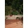 CLP traumhafter Rosenbogen Pavillon Bild 2