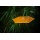 Sonnenfnger 6 - Eck 20cm Scheibe mit Gravur Bild 3