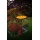 Sonnenfnger 6 - Eck 20cm Scheibe mit Gravur Bild 4