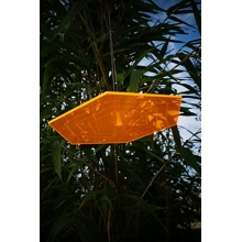 Sonnenfnger 6 - Eck 20cm Scheibe mit Gravur Bild 6