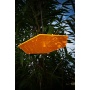 Sonnenfnger 6 - Eck 20cm Scheibe mit Gravur Bild 6