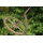 Esschert Design Sonnenuhr mit Standfu im Antik Design Bild 2