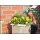 Spiralgartenschlauch 15m mit Multi Gartenbrause POW63852 Bild 3