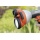 Gardena 8107-20 Premium Metall-Multifunktions-Brause Bild 3