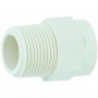 Genova 50407 Male Thread to CPVC Adapter-3/4 Bild 1