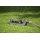 Gardena 8151-20 Premium Viereckregner 250 Bild 2