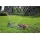 Gardena 2083-20 Classic Viereckregner Polo 250 Bild 2